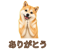 842797273