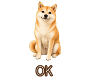 842797274