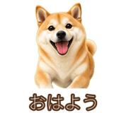 842797276