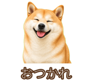842797277