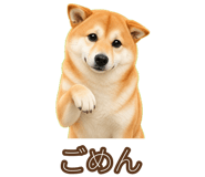 842797278