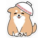 842797375