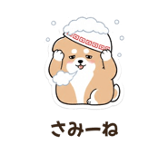 842797405