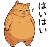 842797546