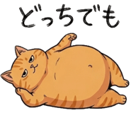 842797549