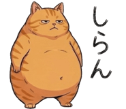 842797550