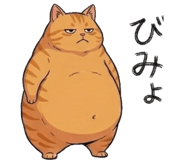 842797551