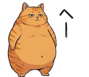 842797553