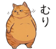 842797555