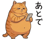 842797556