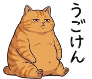 842797559