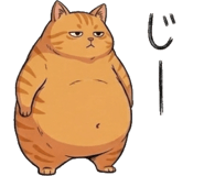 842797561