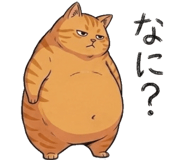 842797562