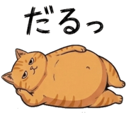 842797563