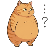 842797564