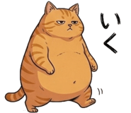 842797567