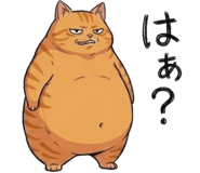 842797571