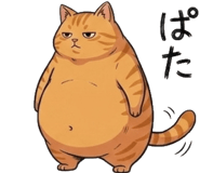 842797579