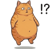 842797581