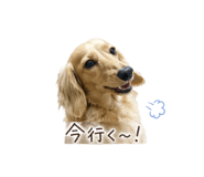842798163