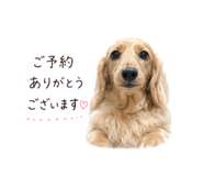842798169