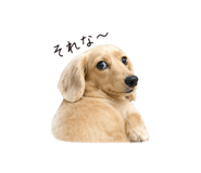 842798172