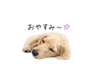 842798176