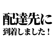 842798544