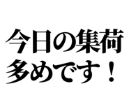842798564