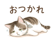 842798870