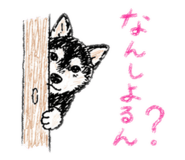 842799166