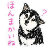 842799185