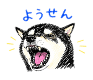 842799192