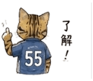 842799202