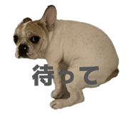 842799692