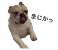 842799700