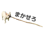 842799709