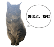 842800149
