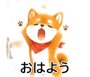 842800257