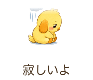 842800294
