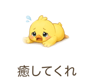 842800303