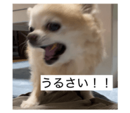 842800703