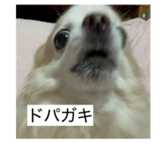 842800710