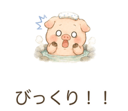 842801041