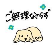 842803285
