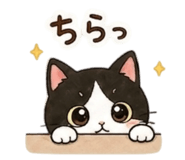 842803546
