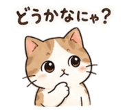 842803557