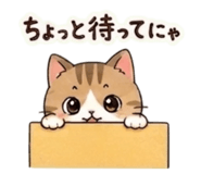 842803581