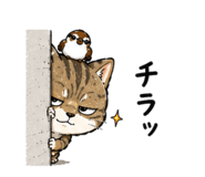 842805133