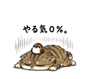 842805143